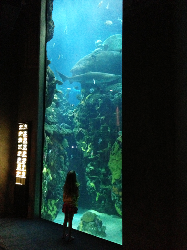 aquarium